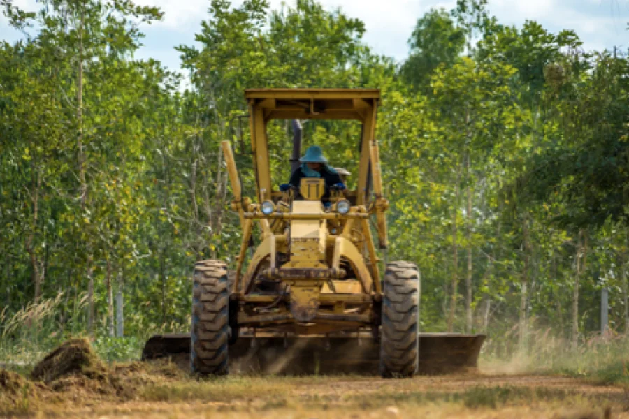 The Right Way to Clear Land and Not to Ruin the Environment